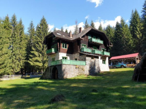 Cabana Văsălatu Nucșoara